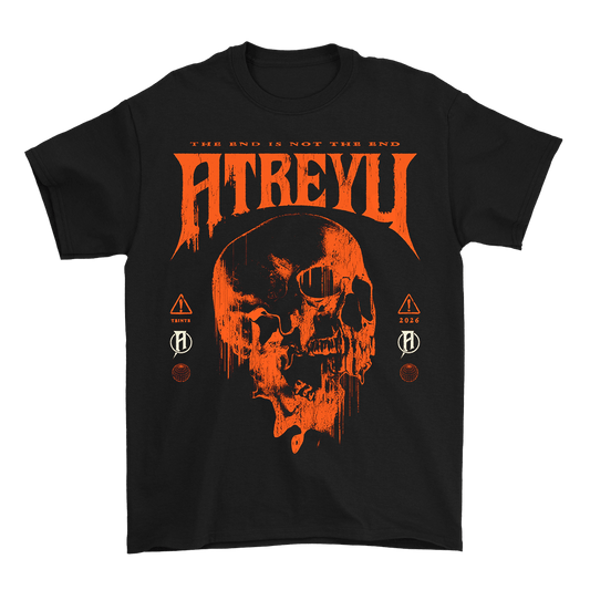 Melting Skull Tee - Black image 0