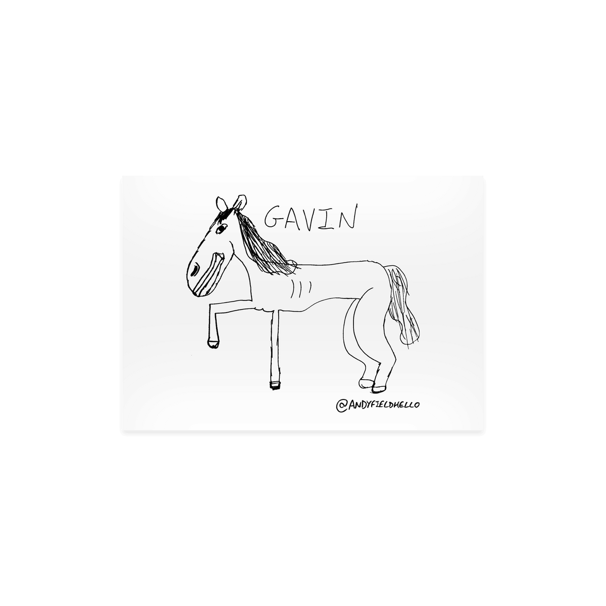 Gavin Horse Postcard
