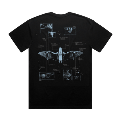 Angel Anatomy Tee - Black