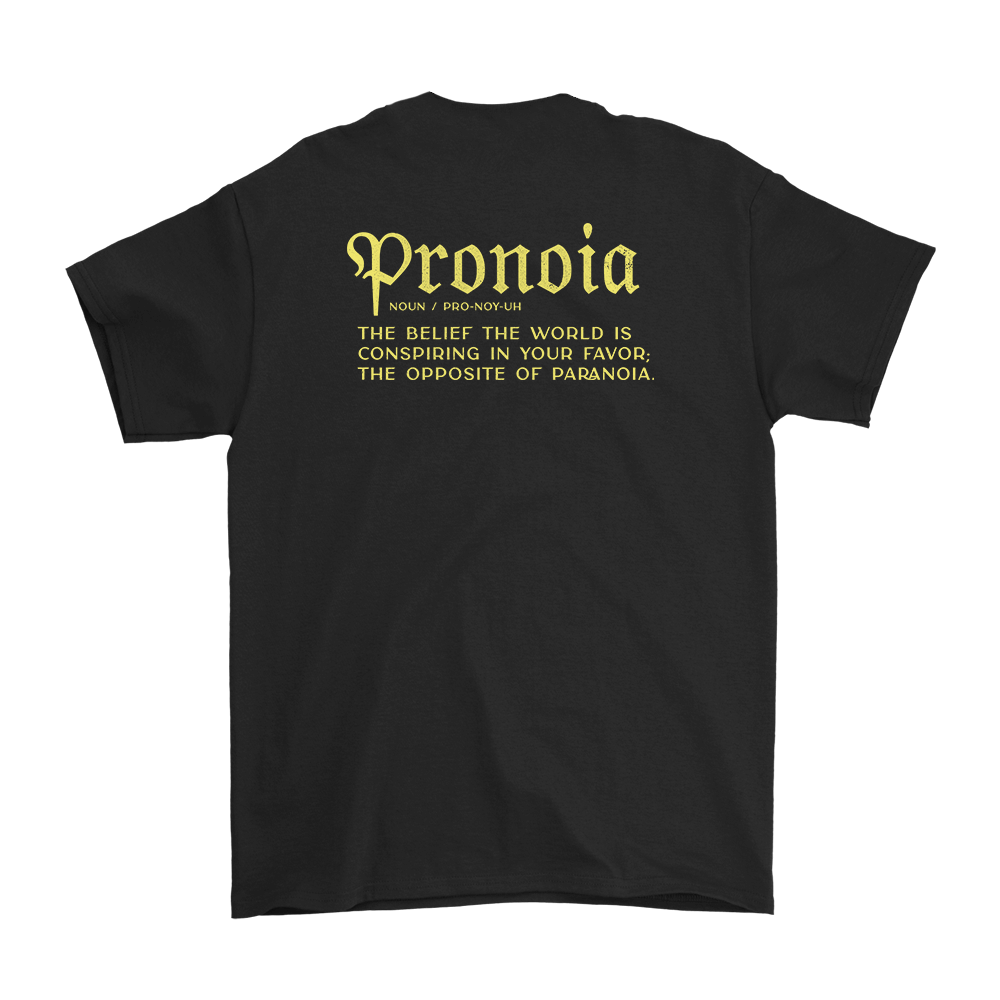 Pronoia Sessions Tee - Black image 2