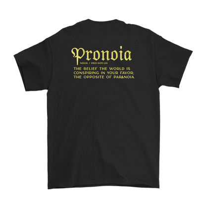 Pronoia Sessions Tee - Black image 2